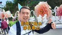 徒步爬山吃斋饭，赏天彭牡丹就在彭州丹景山