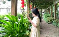 桂林植物园小游