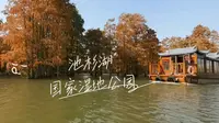 【出行】池杉湖国家湿地公园-游船风景