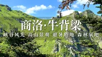游览牛背梁森林公园，欣赏峡谷风光高山草甸，避暑胜地名不虚传！