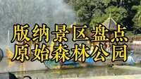 西双版纳景区盘点之原始森林公园