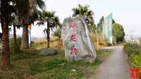 深度西充（43）走进西充新农村的标杆——双龙桥村