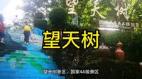 西双版纳，勐腊县，望天树景区，亚洲第一，高空～树冠走廊，号称东方亚马逊。