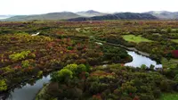 额尔古纳湿地