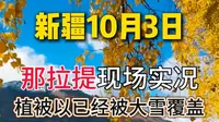 新疆10月3日   那拉提现场实况   植被全都被大雪覆盖