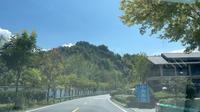 环千岛湖最美淳开线沿途风景+环线攻略+网红地打卡照