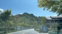 环千岛湖最美淳开线沿途风景+环线攻略+网红地打卡照