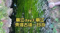 丽江day3:丽江束河古镇一日游