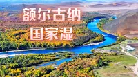 额尔古纳国家湿地公园，不需进景区，沿途公路两旁就能欣赏#呼伦贝尔#额尔古纳湿地