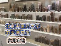 北京中医药大学中医博物馆评测实用攻略