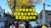 北京北锣鼓巷赏秋值不值得来？真实现场如何？看完再来不后悔！