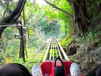 汕头礐石塔山风景区滑道第一视角体验，一个人60元到底值不值呢