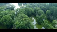 郓城水浒旅游-宋江湖湿地景区