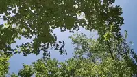 空镜/陀罗山