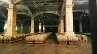 通化有个中国山葡萄酒博物馆