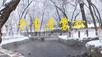第一视角，云旅游乌鲁木齐水磨沟公园看雾凇和鸭鸭