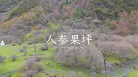 川西-四姑娘山-人参果坪
