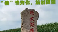 北大湖镇林果小镇采摘节