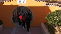 最美梵音洞，值的您的到来，来过的朋友有进梵音洞看到过吗？#普陀山#风景