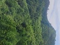 安徽省池州市青阳县 九华山-九子岩风景区。一塔一洞一古诗 一树一泉一真身 缆车区域
