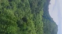 安徽省池州市青阳县 九华山-九子岩风景区。一塔一洞一古诗 一树一泉一真身 缆车区域