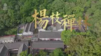 海天佛国 观音慈心 杨枝禅林