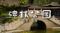 碑林公园|直白点，这真的是太原最美的园林