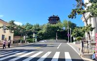 山东威海环翠楼公园，环翠楼上俯瞰威海山、海、城景，太壮丽了
