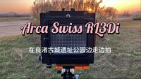Arca Swiss RL3Di - 在良渚古城遗址公园边走边拍