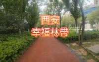 投资210亿打造的西安幸福林带，犹如原始森林，周边市民都喜欢逛