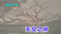 阿里中线（25）-天空之树（色林错-尼玛县）