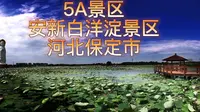 5A景区，河北保定市安新白洋淀景区