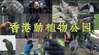 鸟控狂喜！香港动植物公园(上)｜每一帧都是珍奇鸟类的暴击！