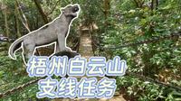 梧州·日常|梧州白云山支线任务|找铁索桥和伏虎岩