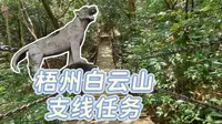 梧州·日常|梧州白云山支线任务|找铁索桥和伏虎岩