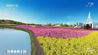[内地广告](2020)沧州滨海恒大文化旅游城(16：9)