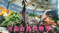 参观河南自然博物馆，没想到免费进去又花了30元钱，这是为什么？