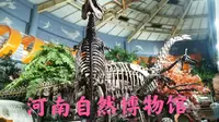 参观河南自然博物馆，没想到免费进去又花了30元钱，这是为什么？