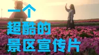 上虞 杭州湾·海上花田 景区影视宣传片