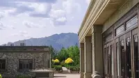 沃尔丰酒庄