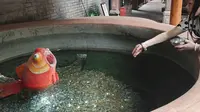 雅安金凤寺祈福
