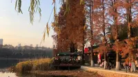 维修中的东湖听涛景区