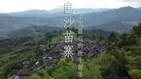 中国最后一个枪手部落，贵州岜沙苗寨，至今保留着神秘的树葬