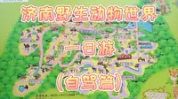 济南野生动物世界一日游—自驾篇