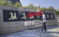 驻马店博物馆探访记（上）历史文化底蕴深厚，真不错的感觉。