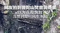 网友拍到普陀山梵音洞奇景 以为花瓣飘散 没想到是“风生水起”