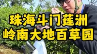 特种兵式旅游珠海斗门岭南大地百草园，这份珠海亲子游玩攻略收好。