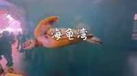 惠州惠东双月湾·港口镇海龟湾