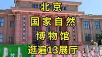 国家自然博物馆硬核攻略：一口气逛遍4层楼13展厅|北京看展攻略|北京景点推荐|北京旅游攻略