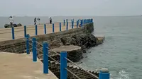 湛江硇洲岛海龟成赶海看风景拍照不错的地方，旁边还有各种水果果园采摘